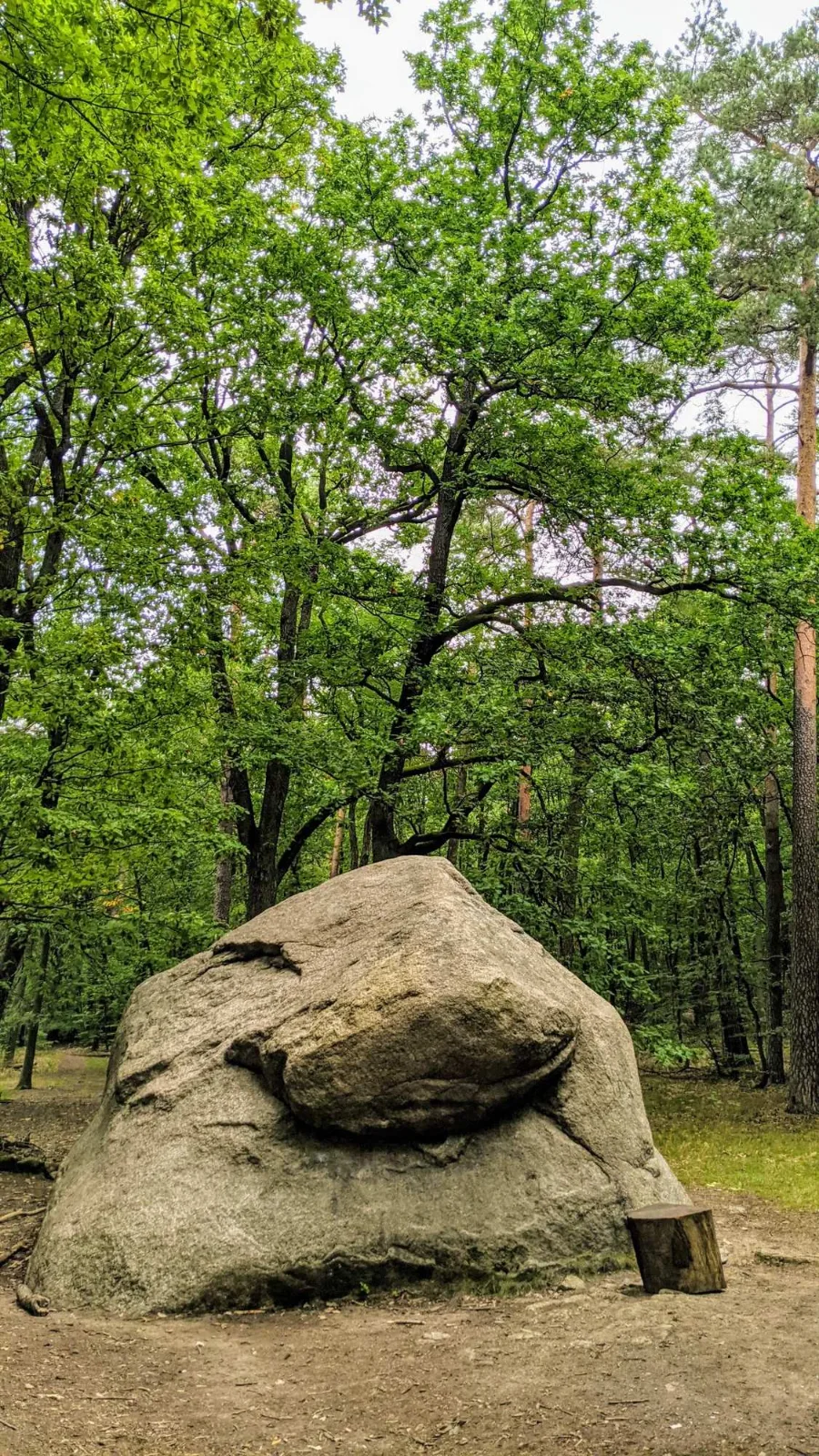Großer Markgrafenstein, ein Granitfindling in den Rauener Bergen bei Bad Saarow