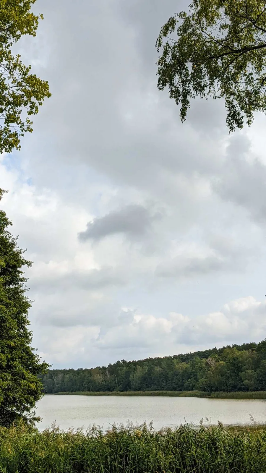 Petersdorfer See bei Bad Saarow