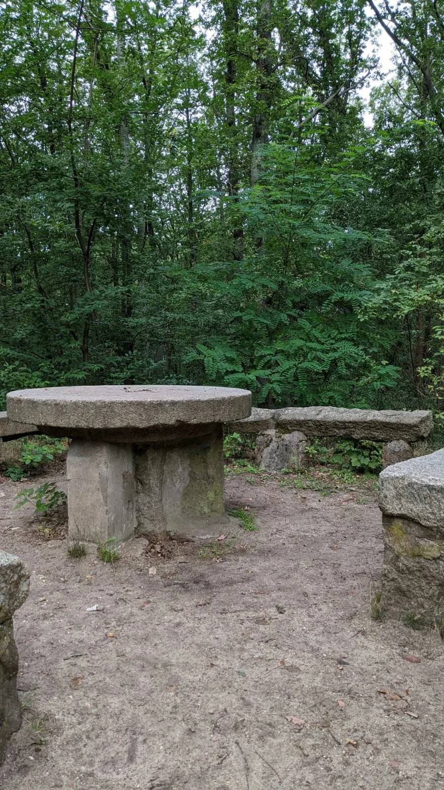 Steinerner Tisch im Wald bei den Markgrafensteinen