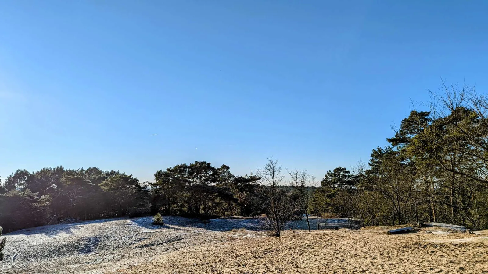 Binnendüne Waltersberge am Großen Storkower See mit Raureif im Winter