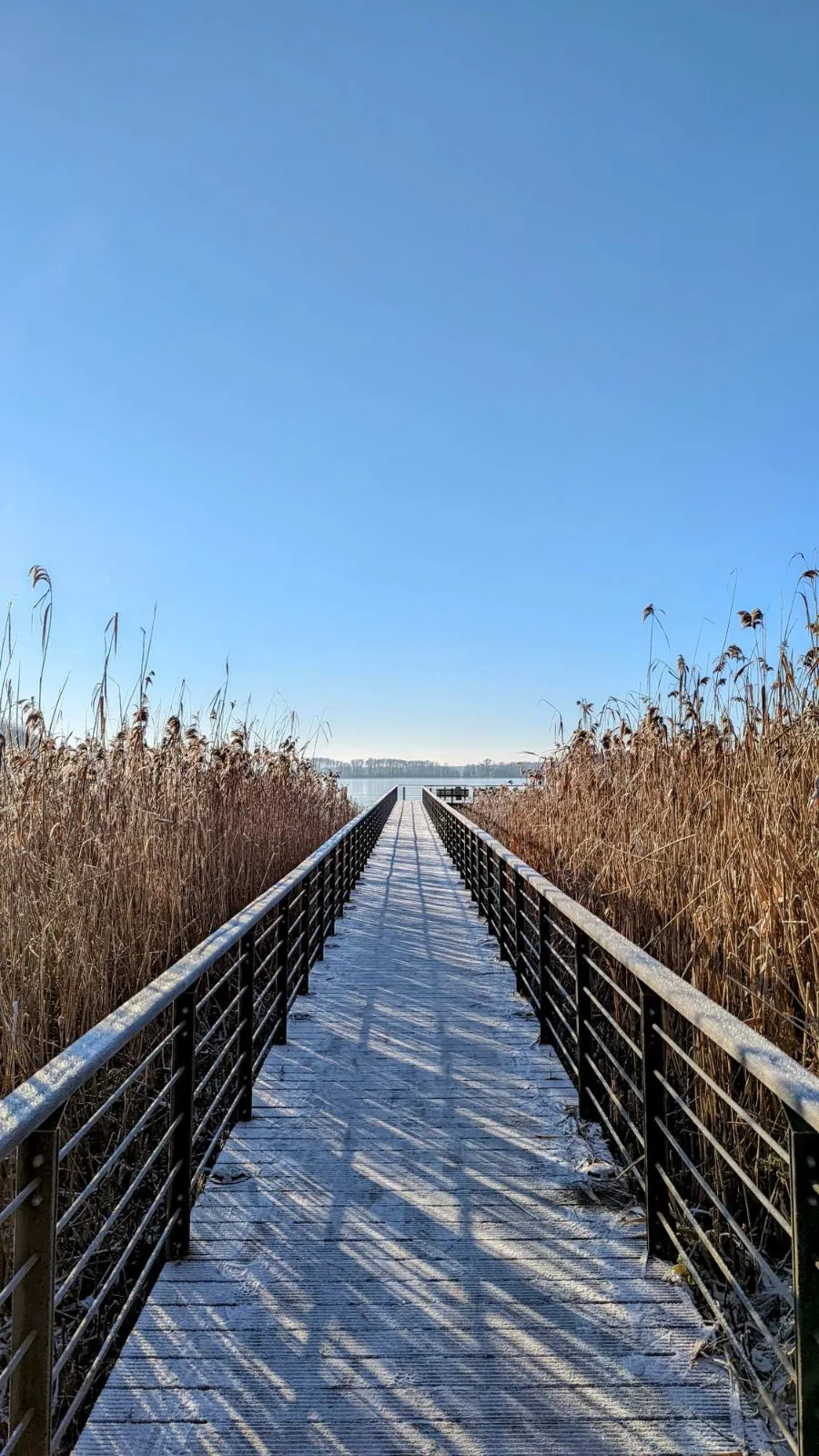 Holzsteg am Ufer des Scharmützelsees in Bad Saarow