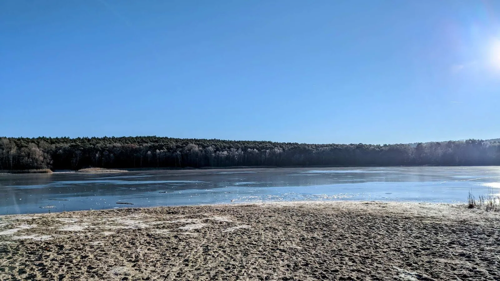 Kolpiner See zwischen kahlen Bäumen im Winter