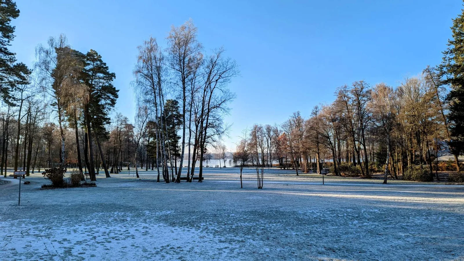 Park in Bad Saarow mit Raureif auf Wiese und Bäumen