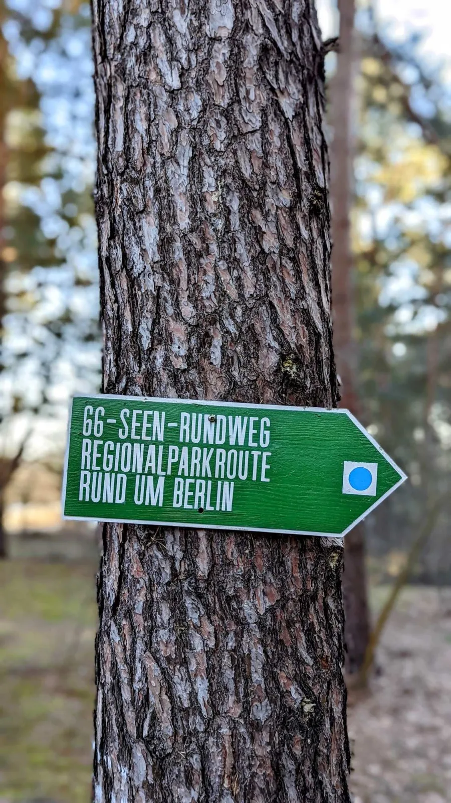 Schild 66-Seen-Rundweg und Regionalparkroute Rund um Berlin bei Hirschluch