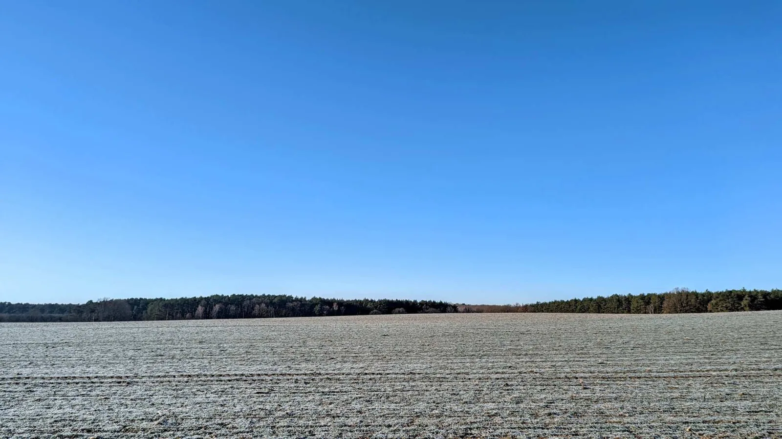 Weites Feld hinter Kolpin im Winter