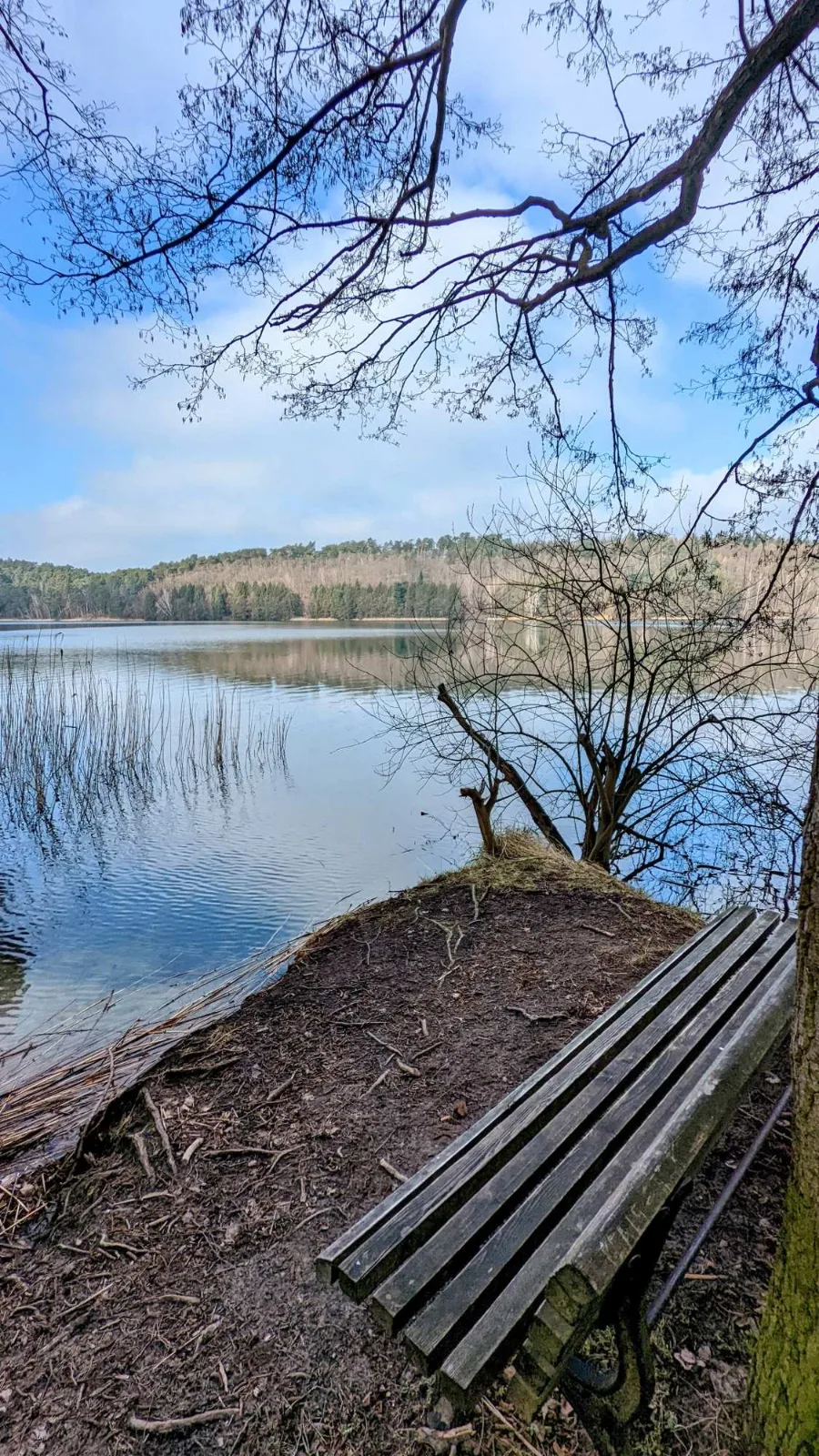 Bank am Ufer eines Waldsees an der Glubigseenkette