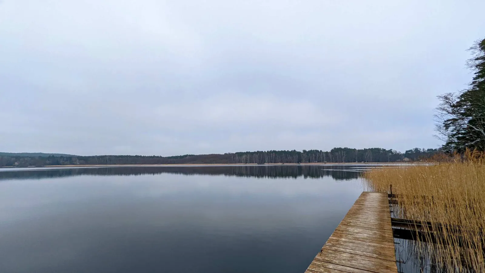 See der Glubigseenkette mit bewaldetem Ufer