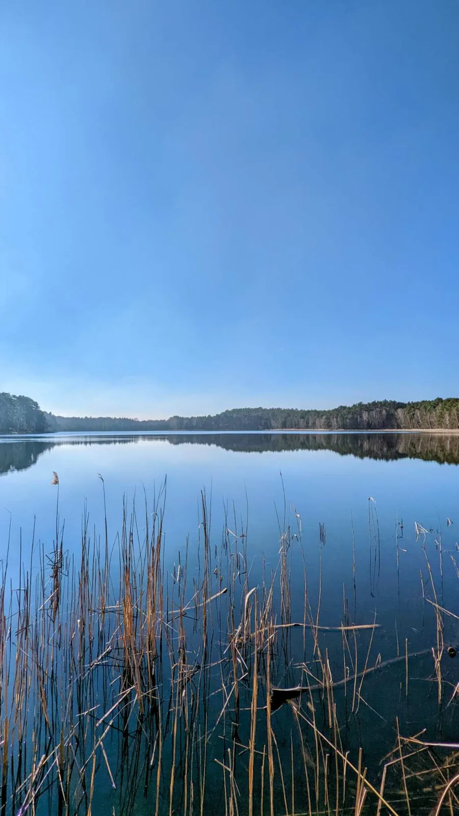 Waldsee im Spätwinter auf dem Weg nach Alt Schadow