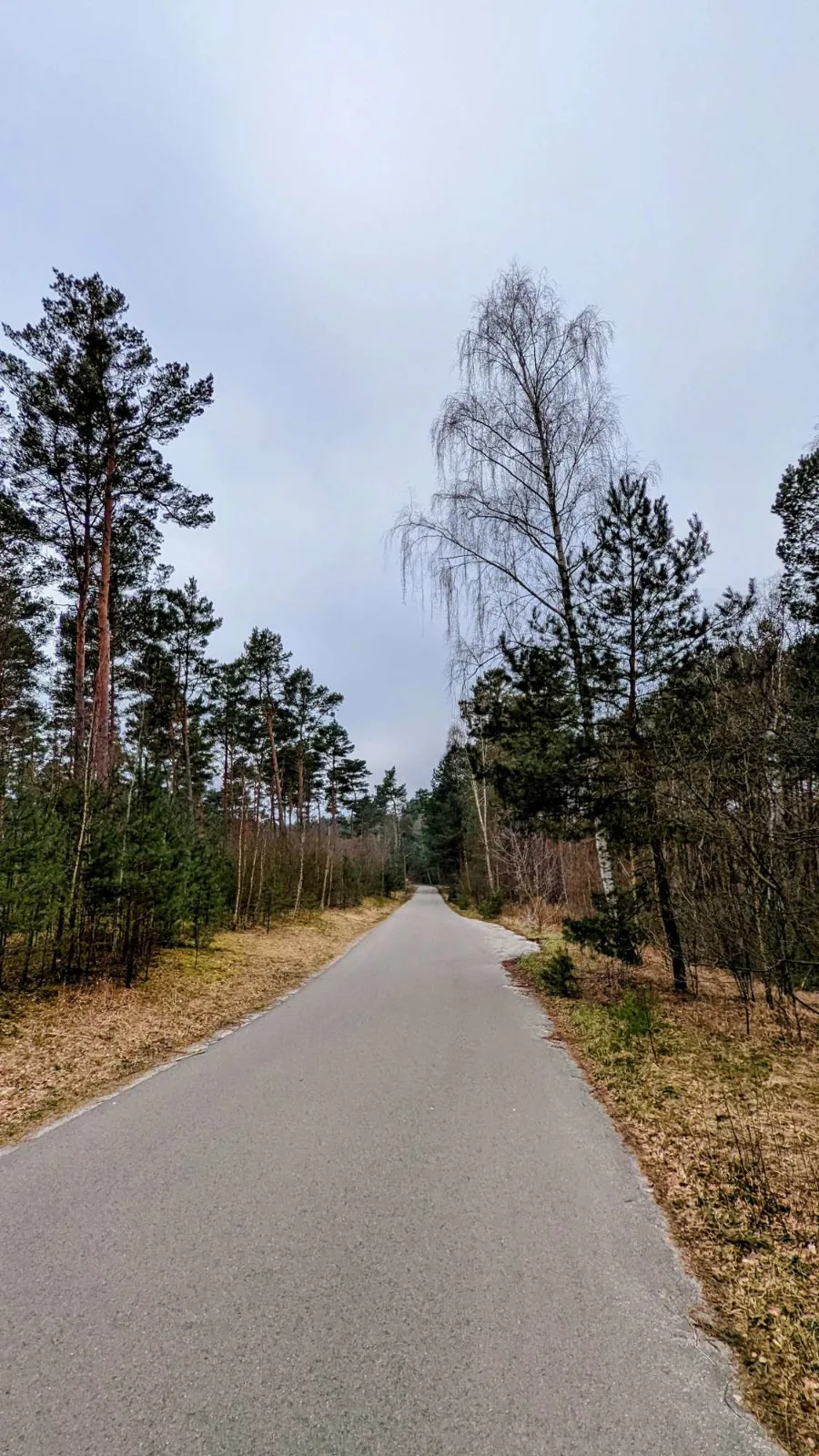 Waldweg an der Glubigseenkette bei Wendisch Rietz