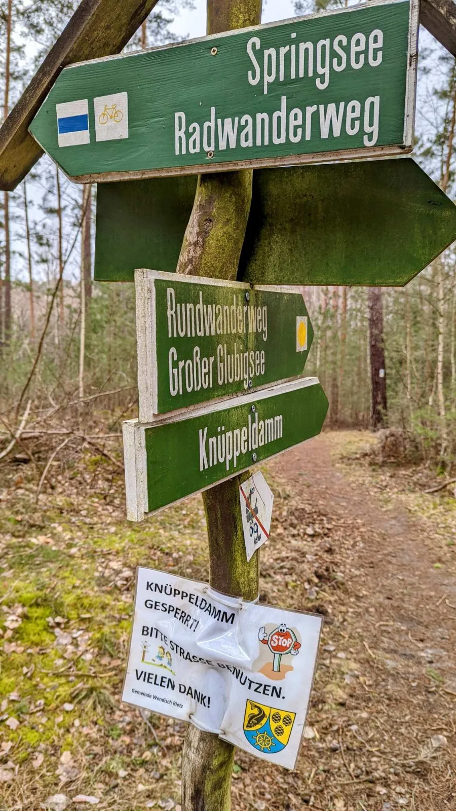 Wegweiser Springsee Radwanderweg im Wald bei Wendisch Rietz