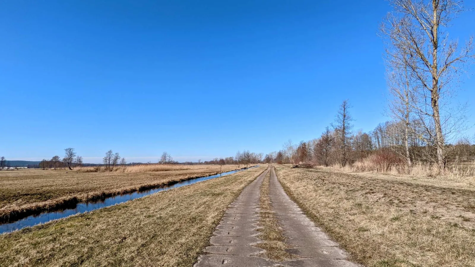 Deichweg bei Leibsch zwischen Wiesen