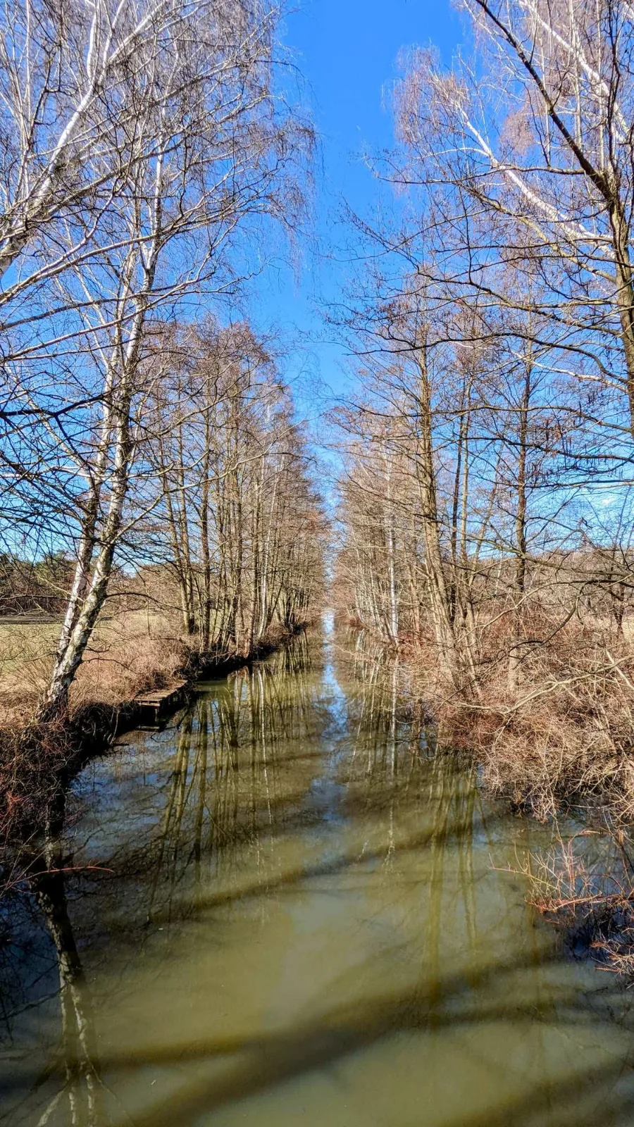 Graben zwischen Wiesen bei Leibsch