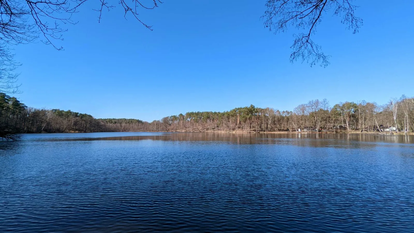 Köthener See mit bewaldetem Ufer