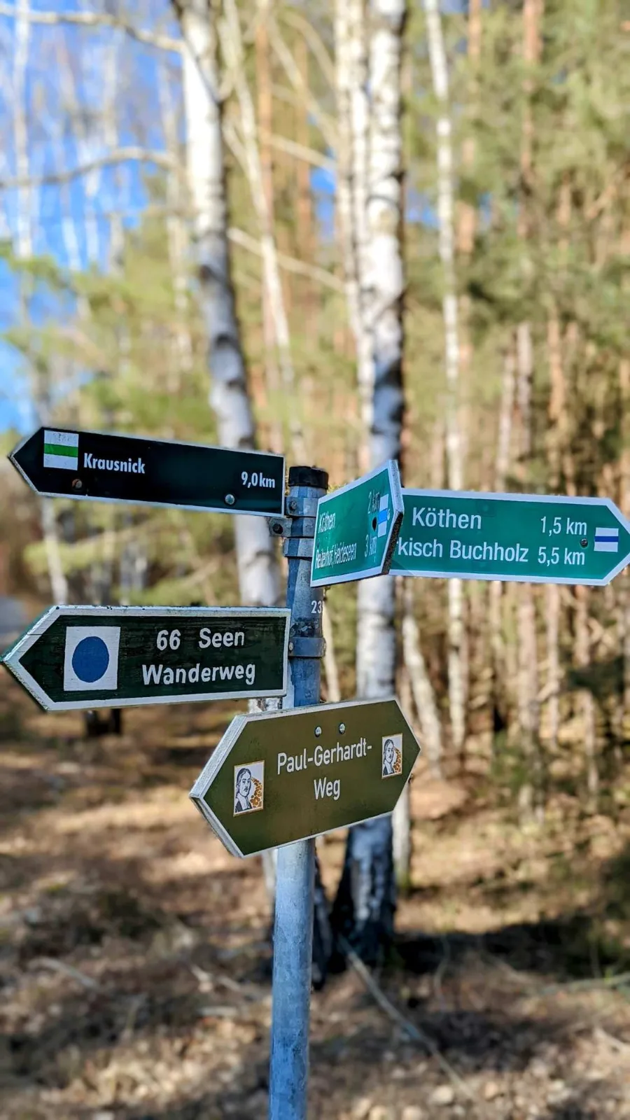 Wegweiser im Wald zwischen Köthen und Märkisch Buchholz