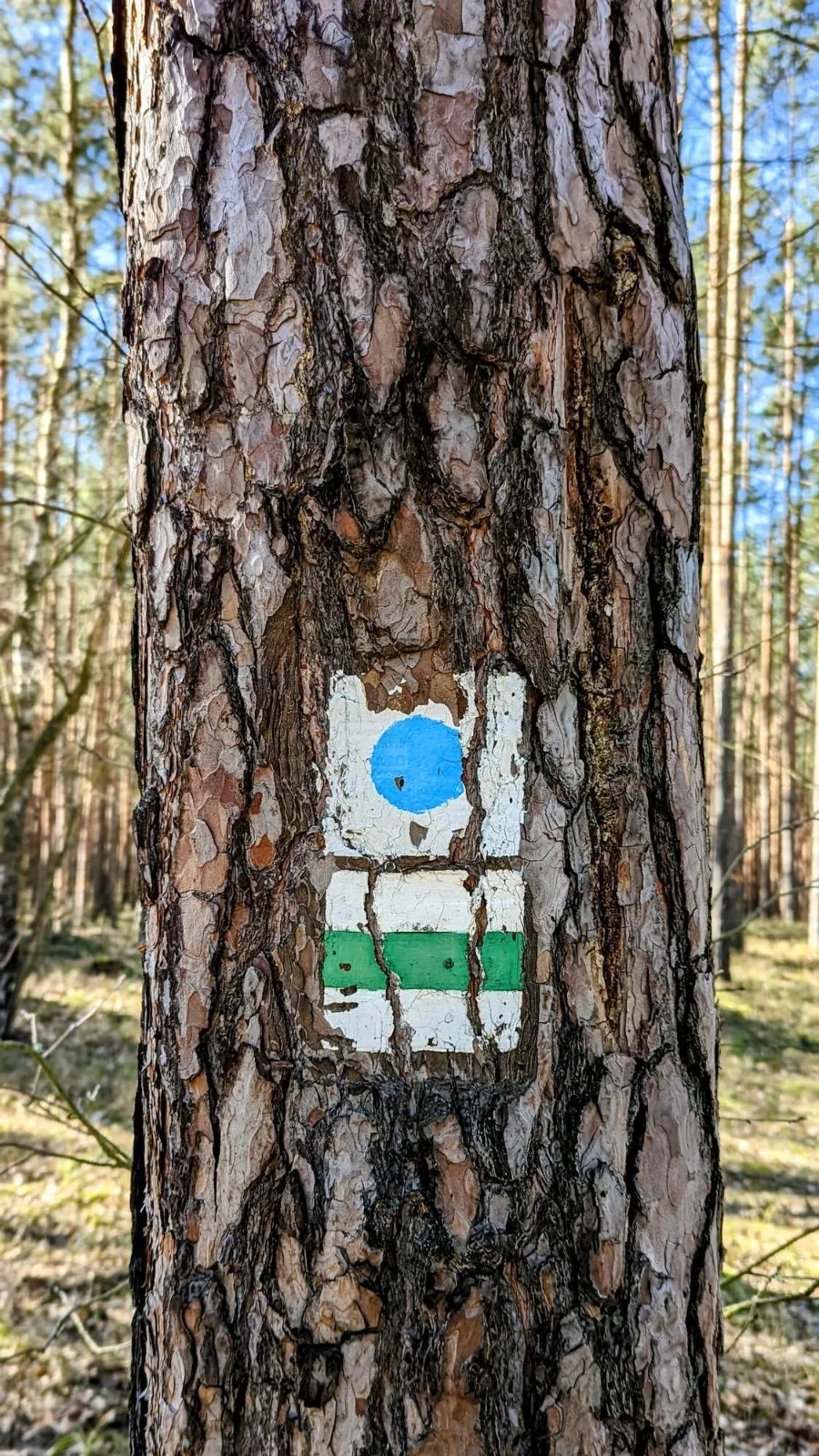 Wegzeichen des 66-Seen-Wanderwegs zwischen Leibsch und Köthen