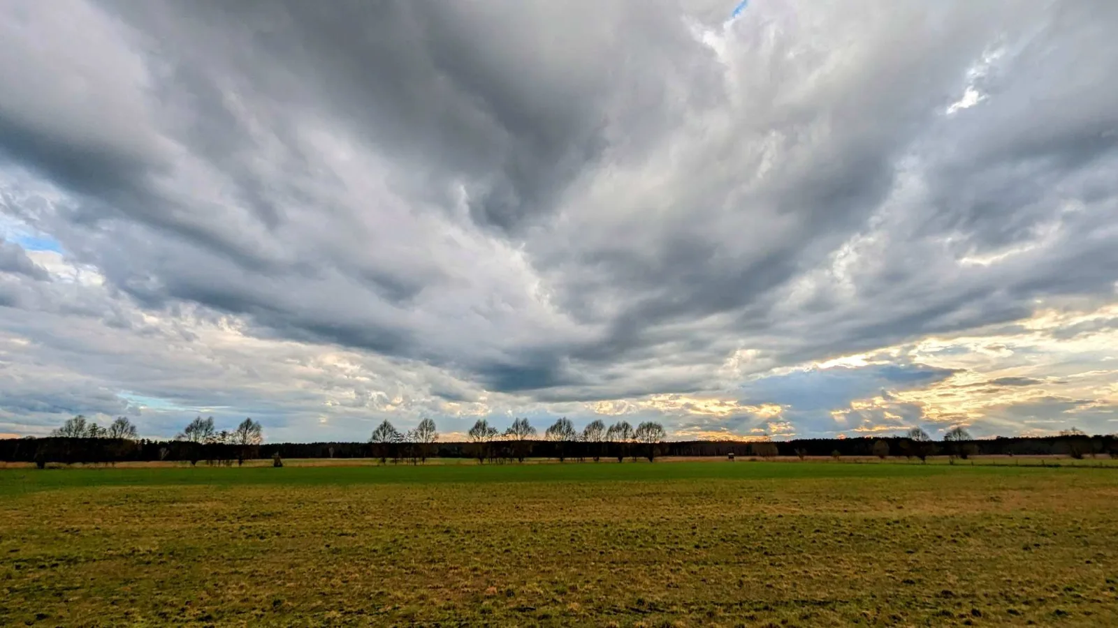 Feld zwischen Zesch am See und Lindenbrück
