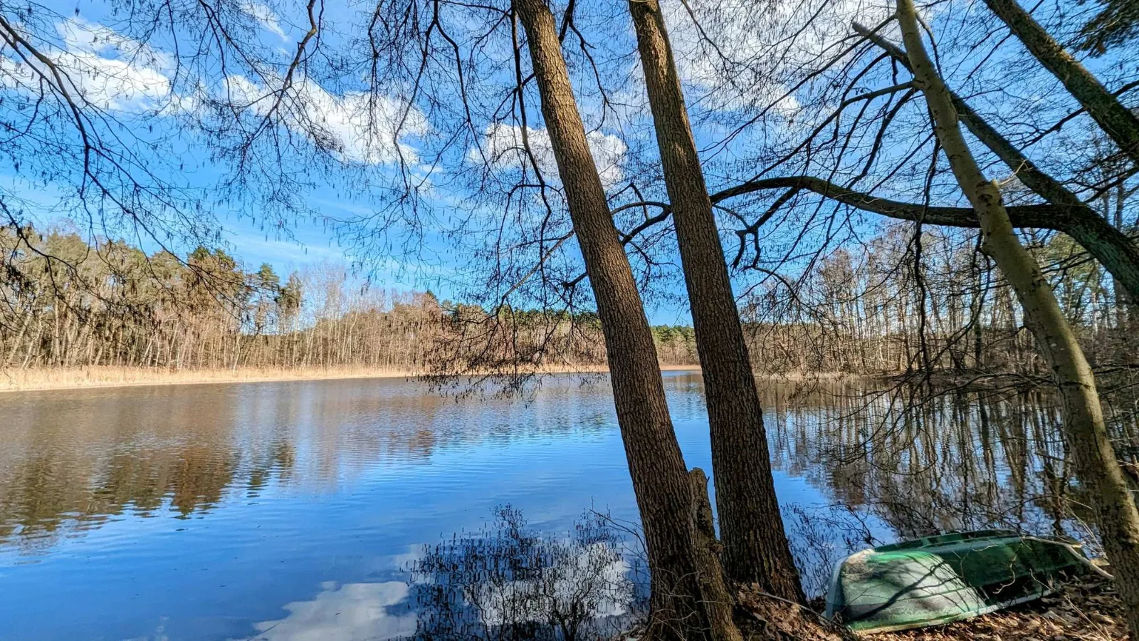 See bei Tornow mit bewaldetem Ufer