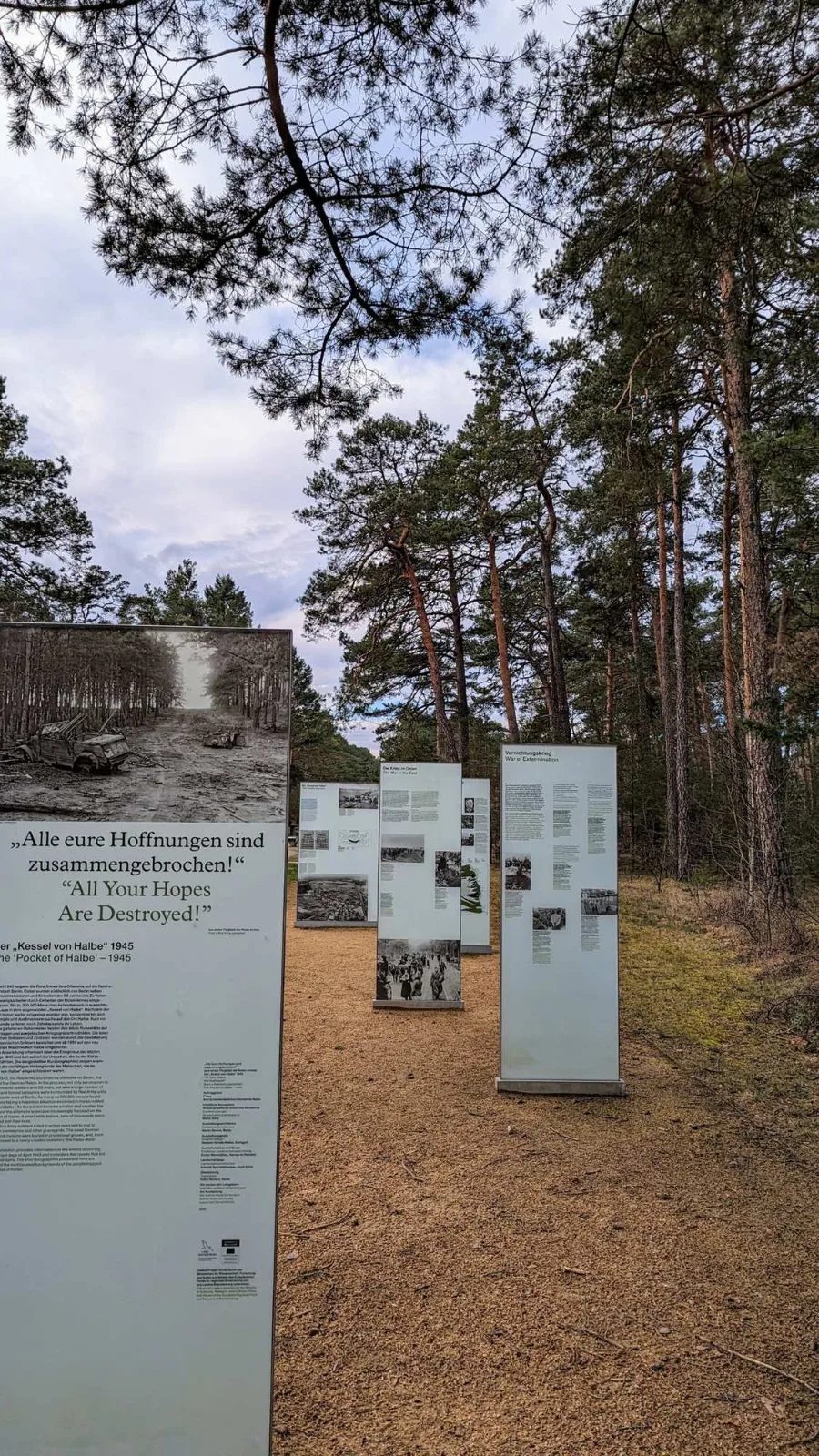 Verglaste Infostelen am Eingang des Waldfriedhofs Halbe