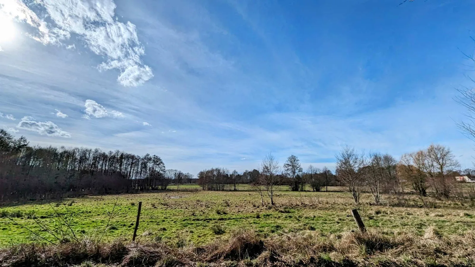 Wiese vor Tornow im Schenkenländchen