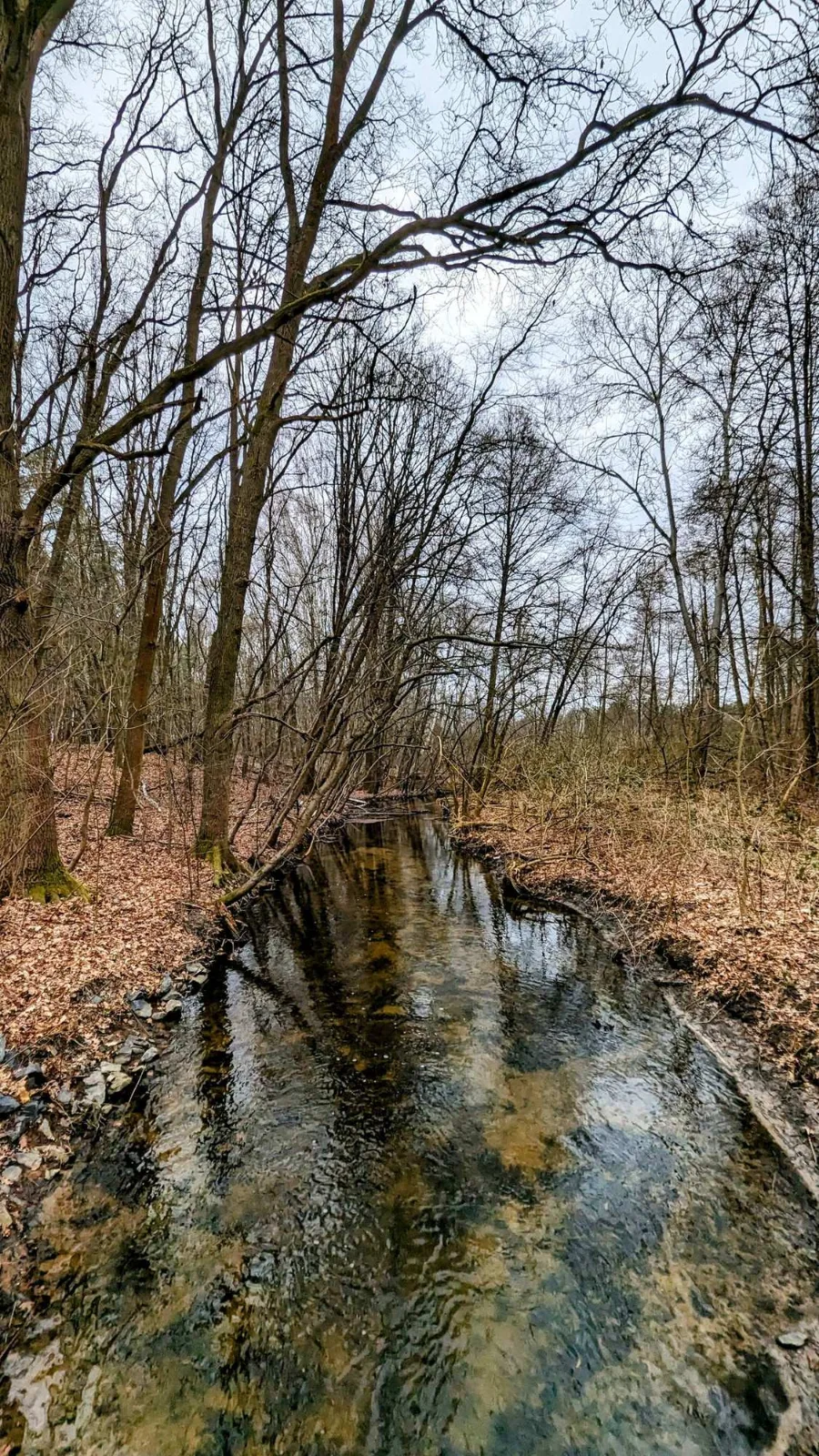 Graben zwischen Sperenberg und Kummersdorf