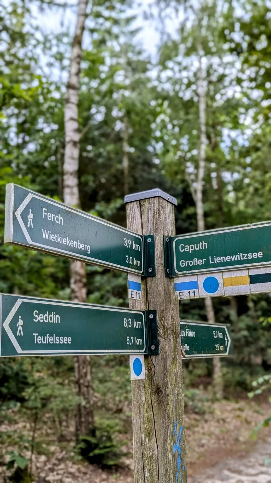 Wegweiser im Wald zwischen Seddin und Caputh