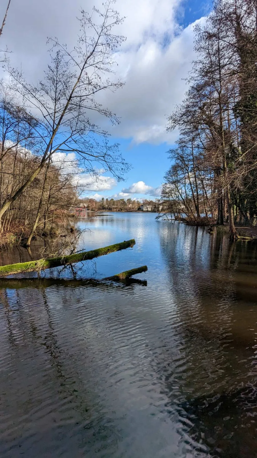 Die Briese im Briesetal bei Birkenwerder