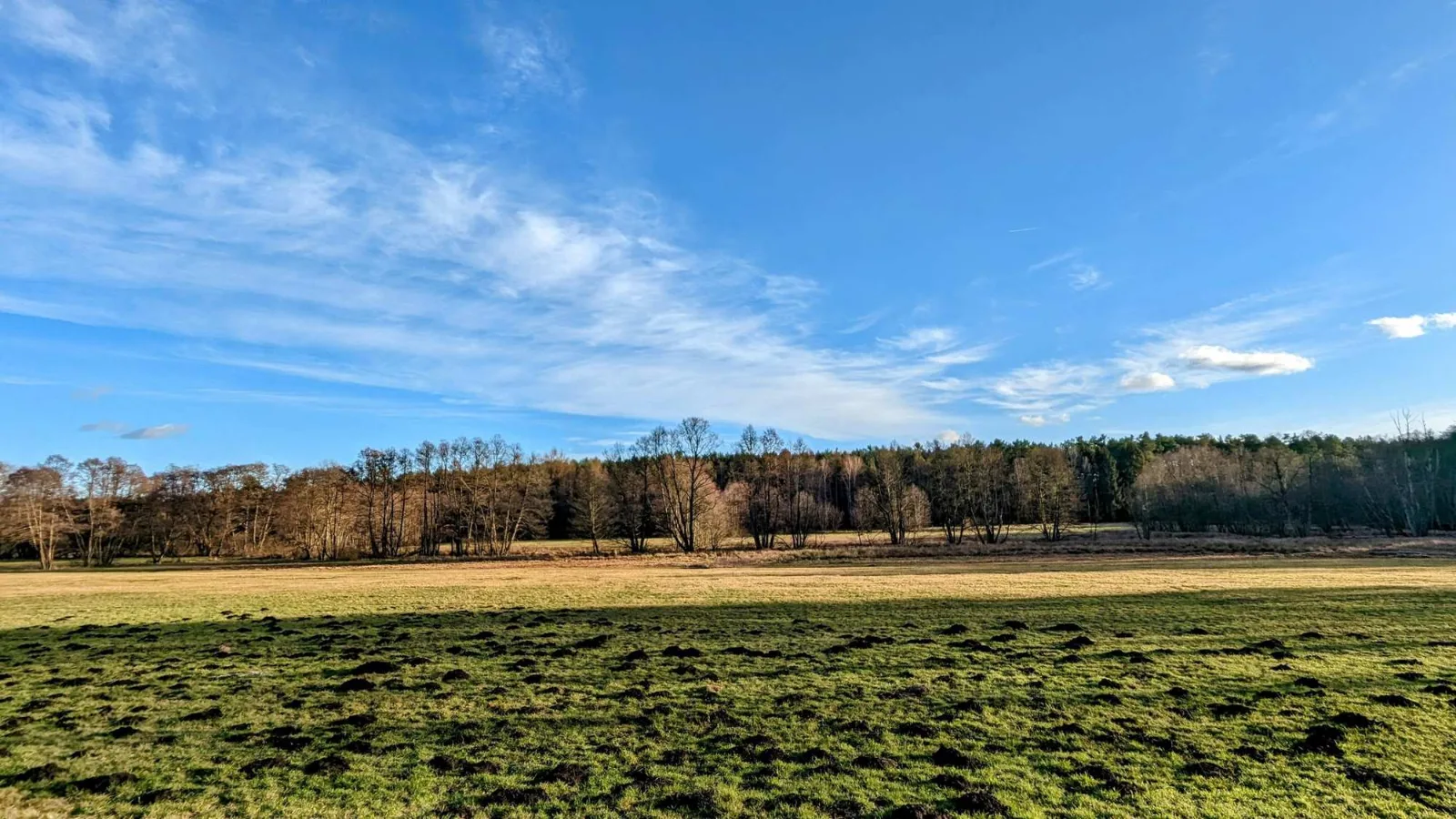 Feld kurz vor Zühlsdorf am 66-Seen-Wanderweg