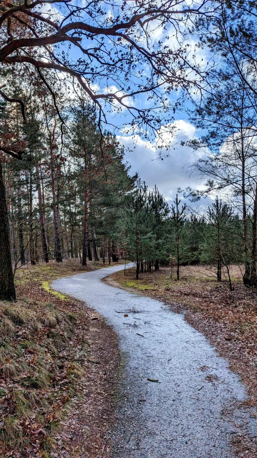 Unbefestigter Weg am Stadtrand von Hennigsdorf