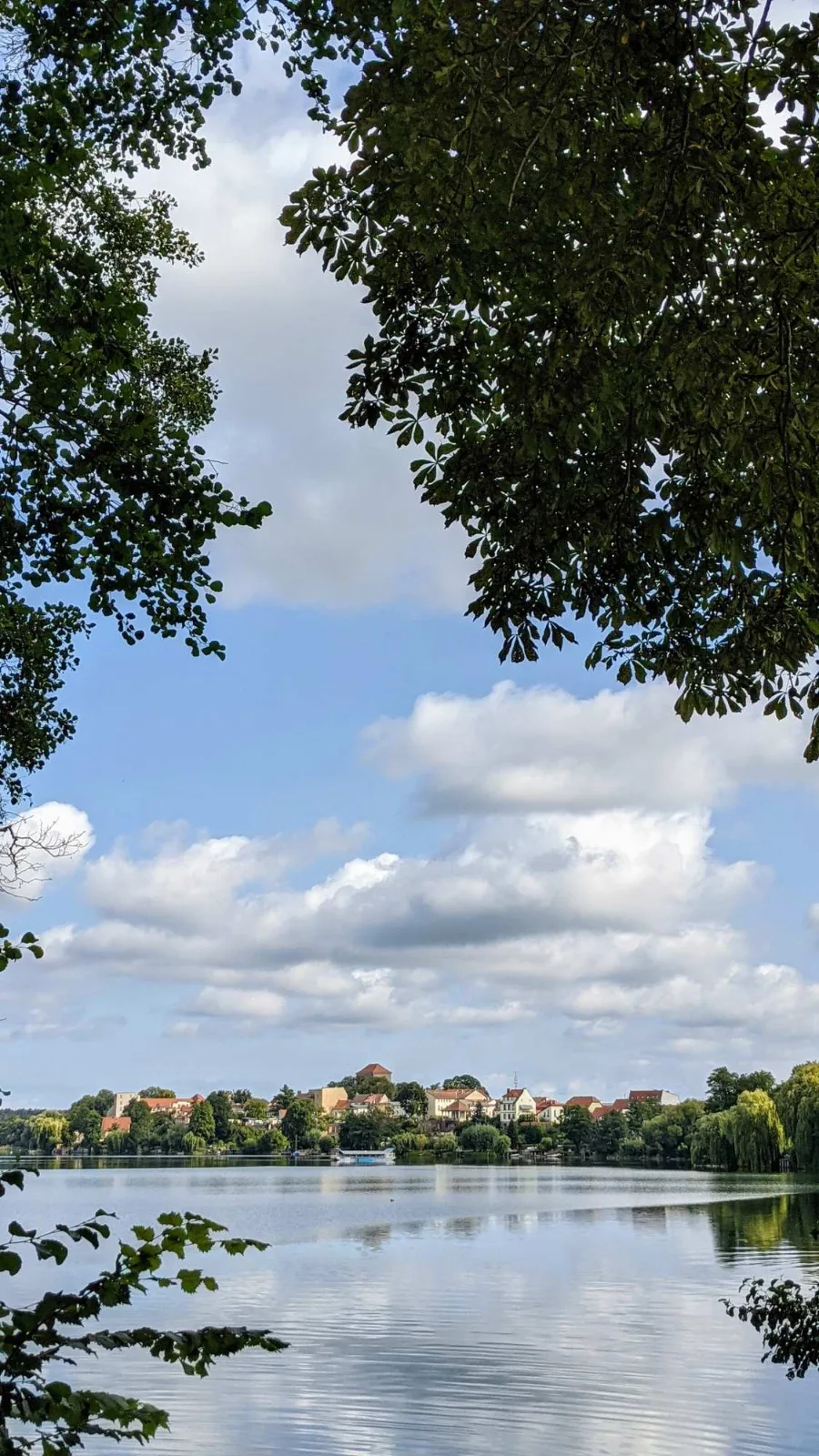 Blick über den Straussee auf die Altstadt von Strausberg