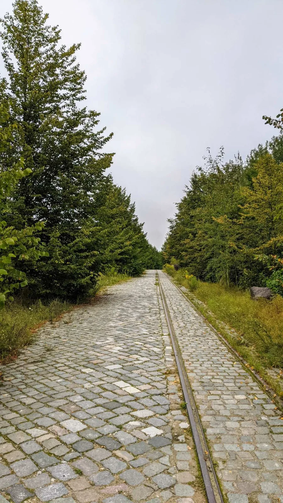 Pflasterweg mit eingelassenem altem Gleis in Rüdersdorf
