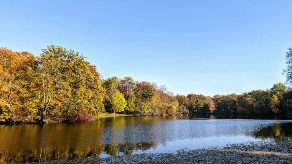 Teich im Treptower Park mit herbstlich gefärbten Bäumen, die sich im Wasser spiegeln
