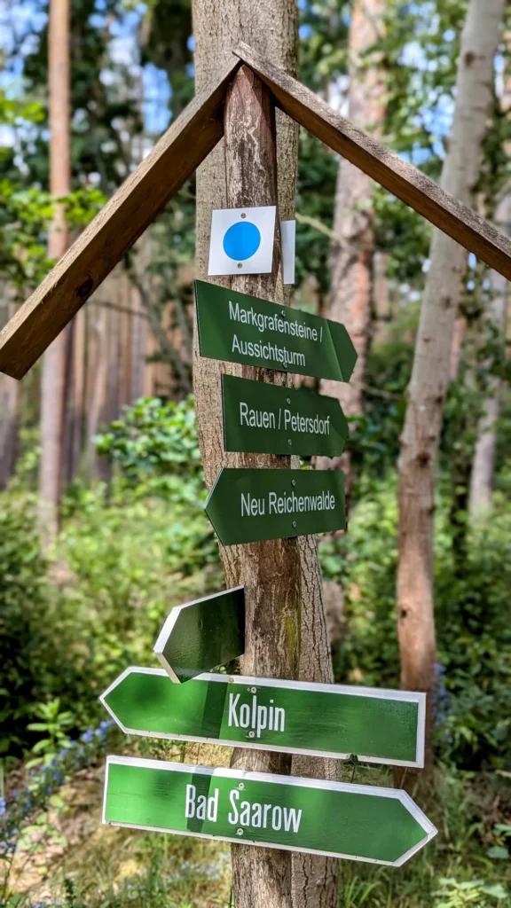Wegweiser an einem Kiefernstamm mit blauem Punkt und Schildern nach Kolpin, Bad Saarow, Neu Reichenwalde, Rauen und zu den Markgrafensteinen