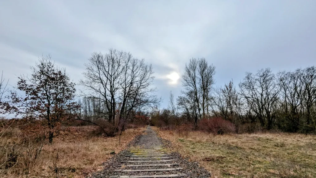 Alte Betonschwellen-Trasse im Gelände des Biesenhorster Sands