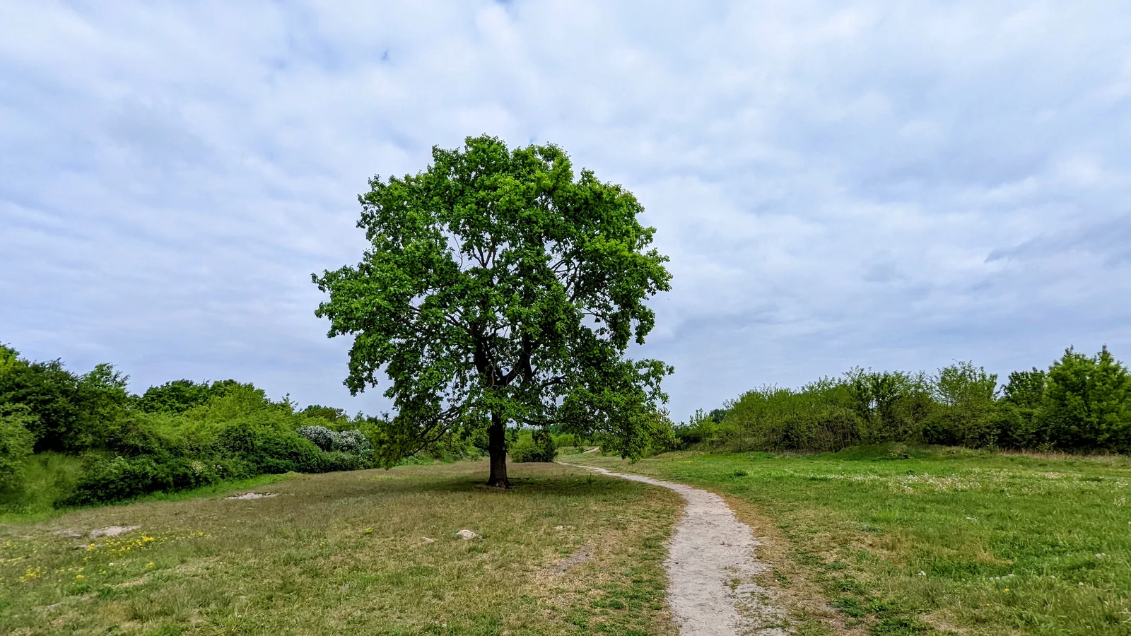 Von Biesdorf nach Karlshorst: Biesenhorster Sand, Wuhlheide und Trabrennbahn