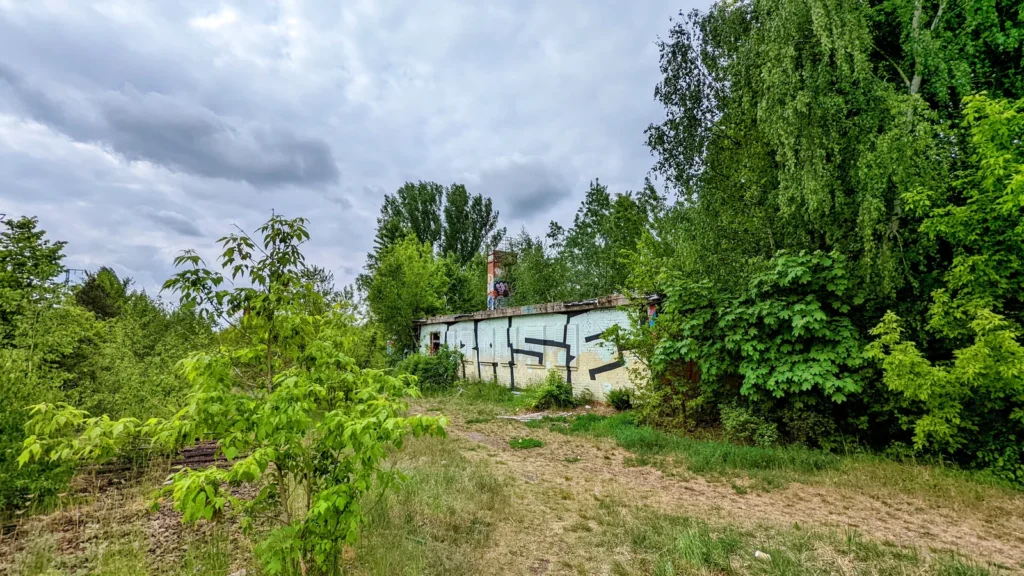 Kleiner Bau mit Graffiti zwischen Gehölzen
