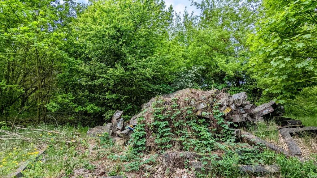 Überwucherter Haufen alter Schwellen am Wegrand