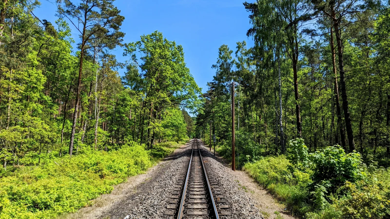 Gleise der Rügenschen Bäderbahn im Wald zwischen Sellin und Baabe auf Rügen