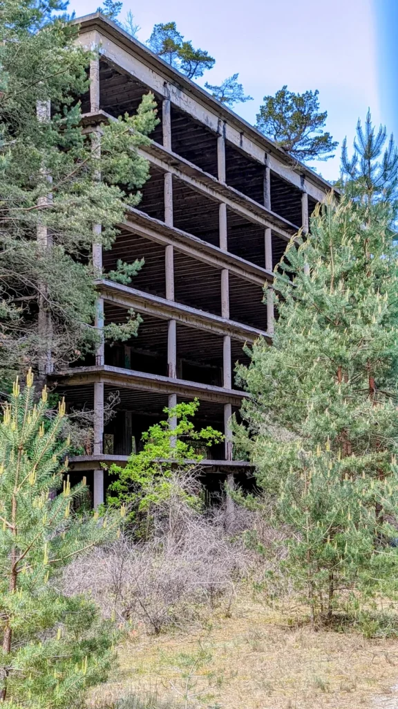 Betonskelett eines Ruinenbaus im Kiefernwald im Norden von Prora