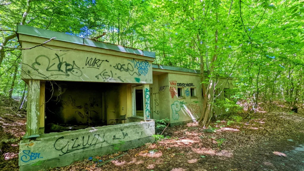 Verfallene Betonbauten mit Graffiti im Buchenwald bei Dwasieden