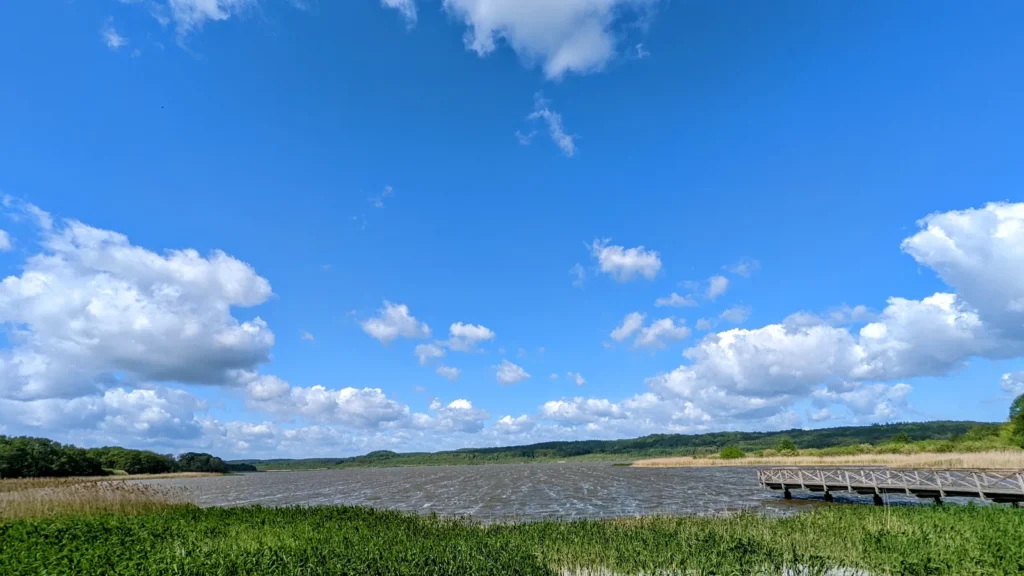 Schmachter See in Binz mit Schilf und einem Holzsteg