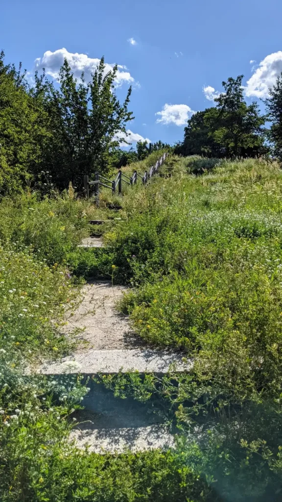 Schmaler Pfad, der in Bohnsdorf den Hang des Falkenbergs hinaufführt