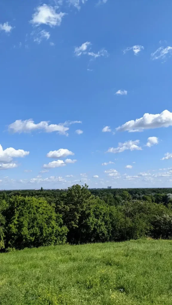 Sommerliche Wiese am Falkenberg in Bohnsdorf mit Blick über die Baumkronen