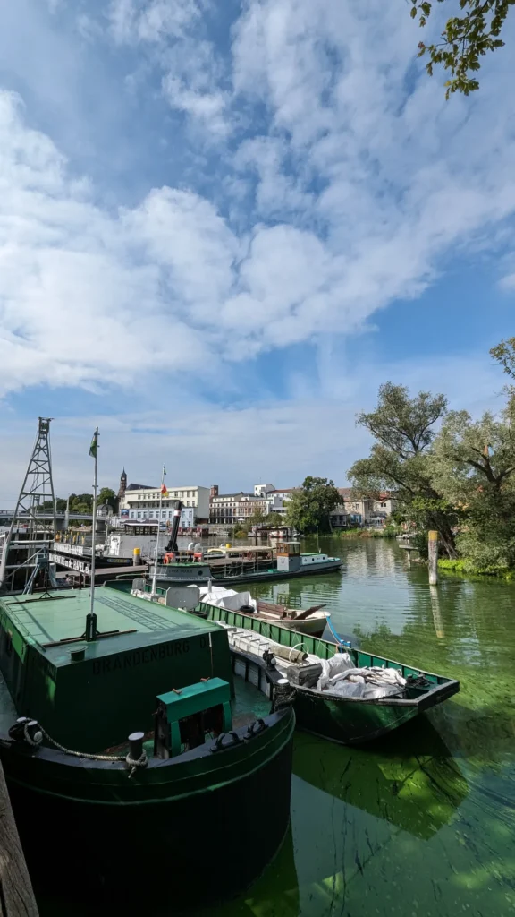 Alte Arbeitsschiffe im Historischen Hafen von Brandenburg an der Havel, das Wasser ist grün von Wasserlinsen
