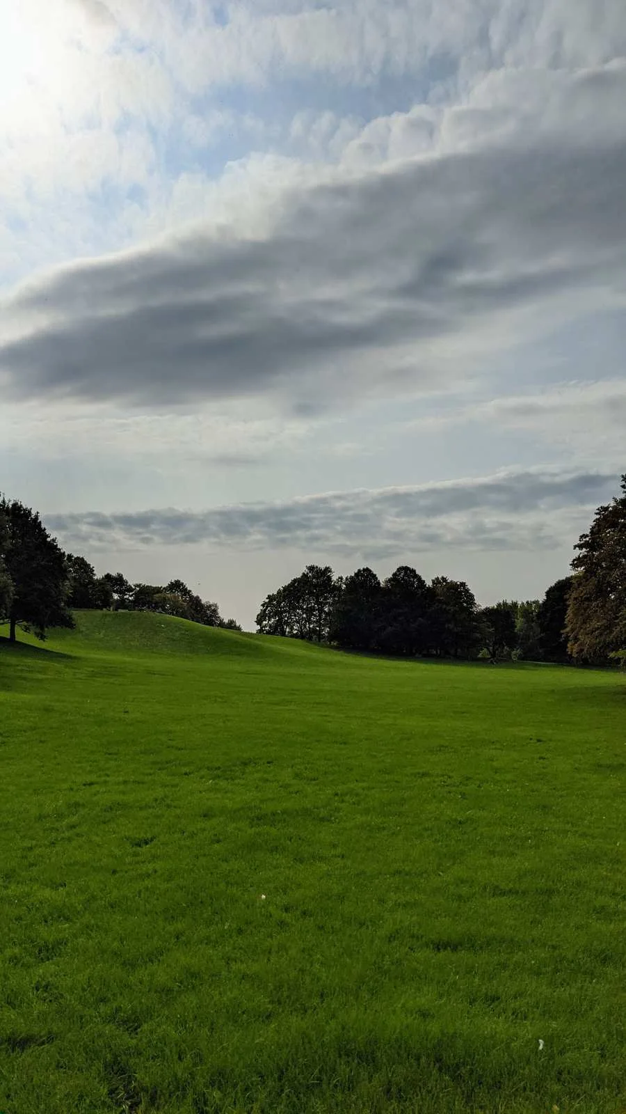 Weite Wiese mit sanften Hügeln und Baumgruppen im Britzer Garten in Britz