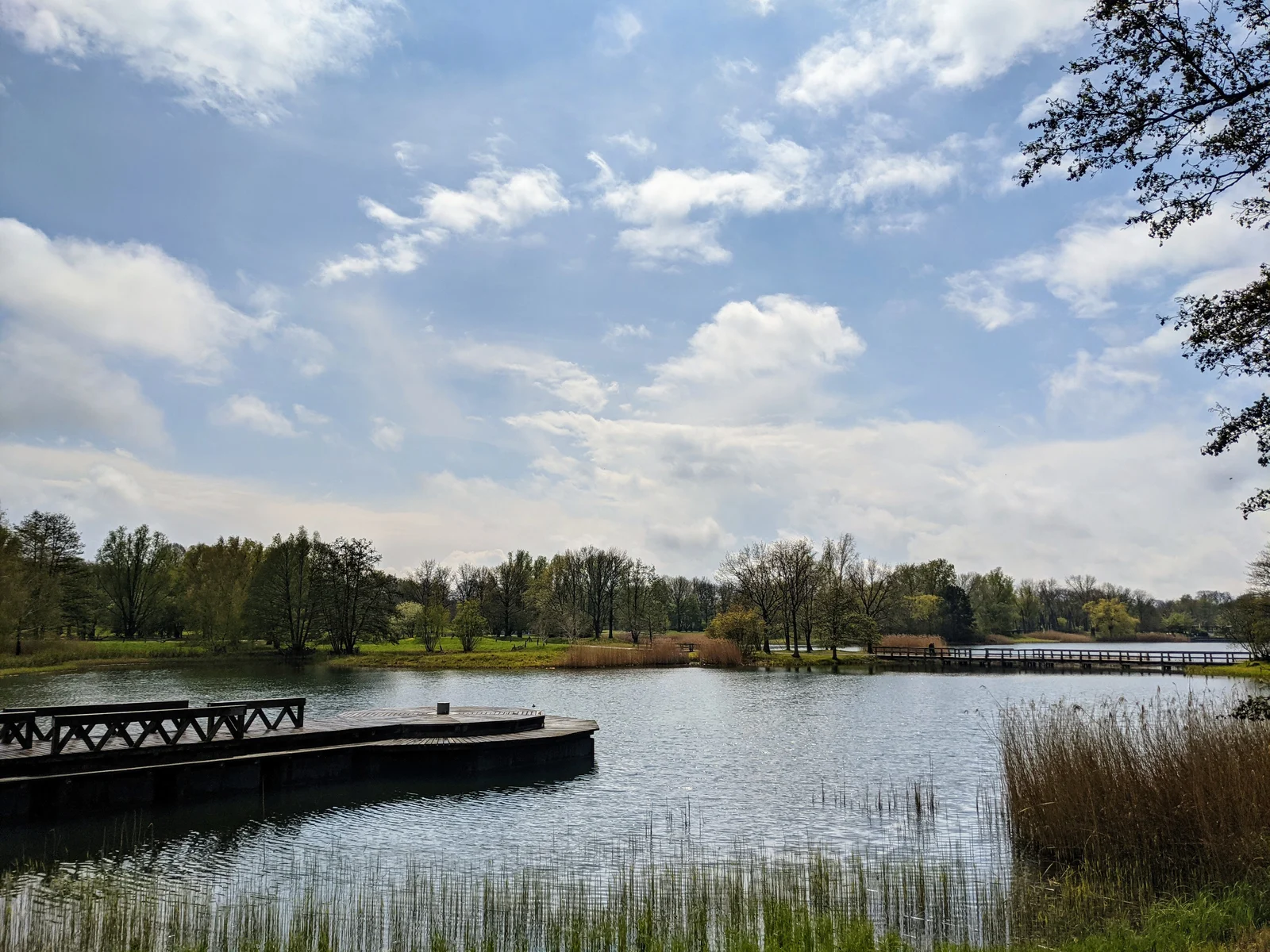 Seeufer mit Holzanleger und Schilf im Britzer Garten in Britz