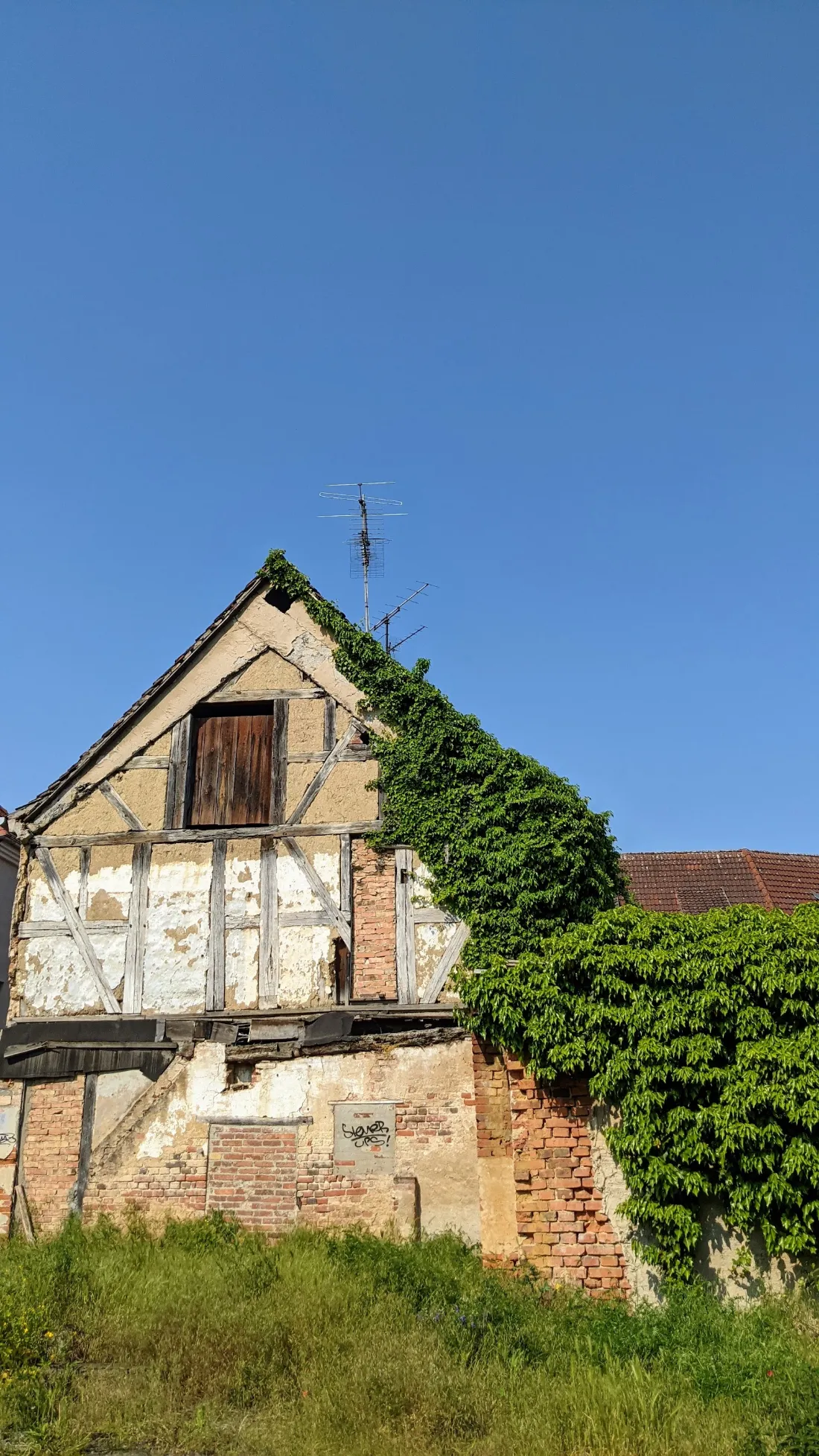 Altes Haus mit Efeu in Bad Belzig