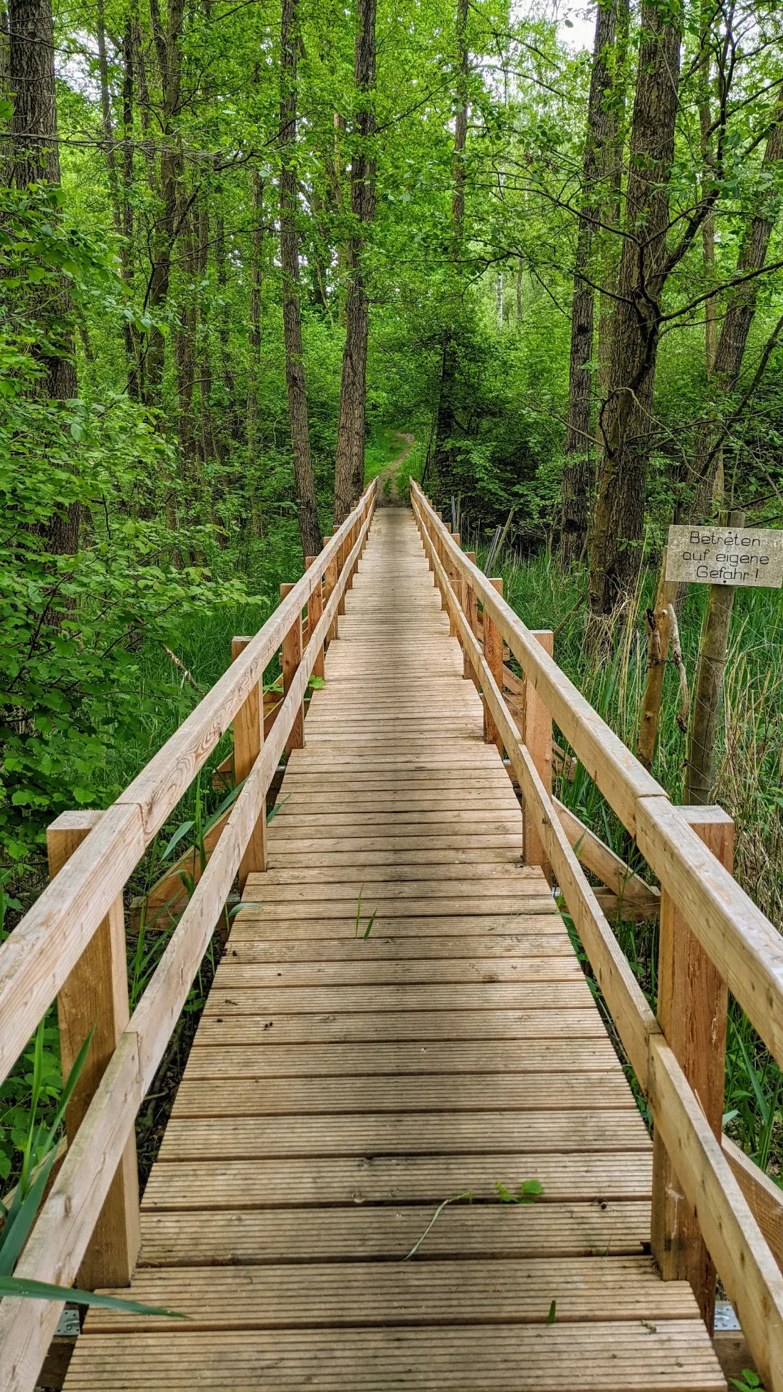 Holzsteg durch den Wald hinter Rädigke