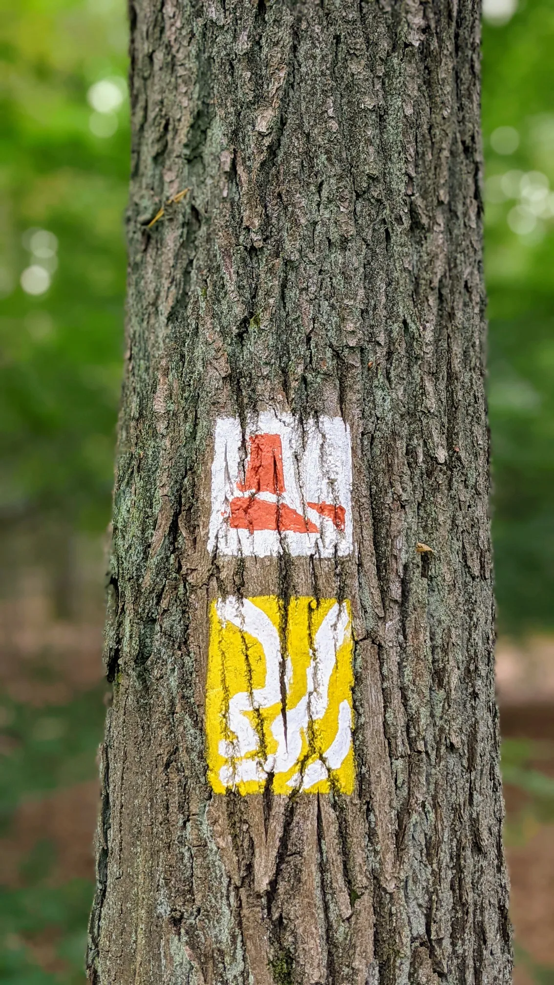 Wegzeichen des Burgenwanderwegs am Baum vor dem Schlosspark Wiesenburg