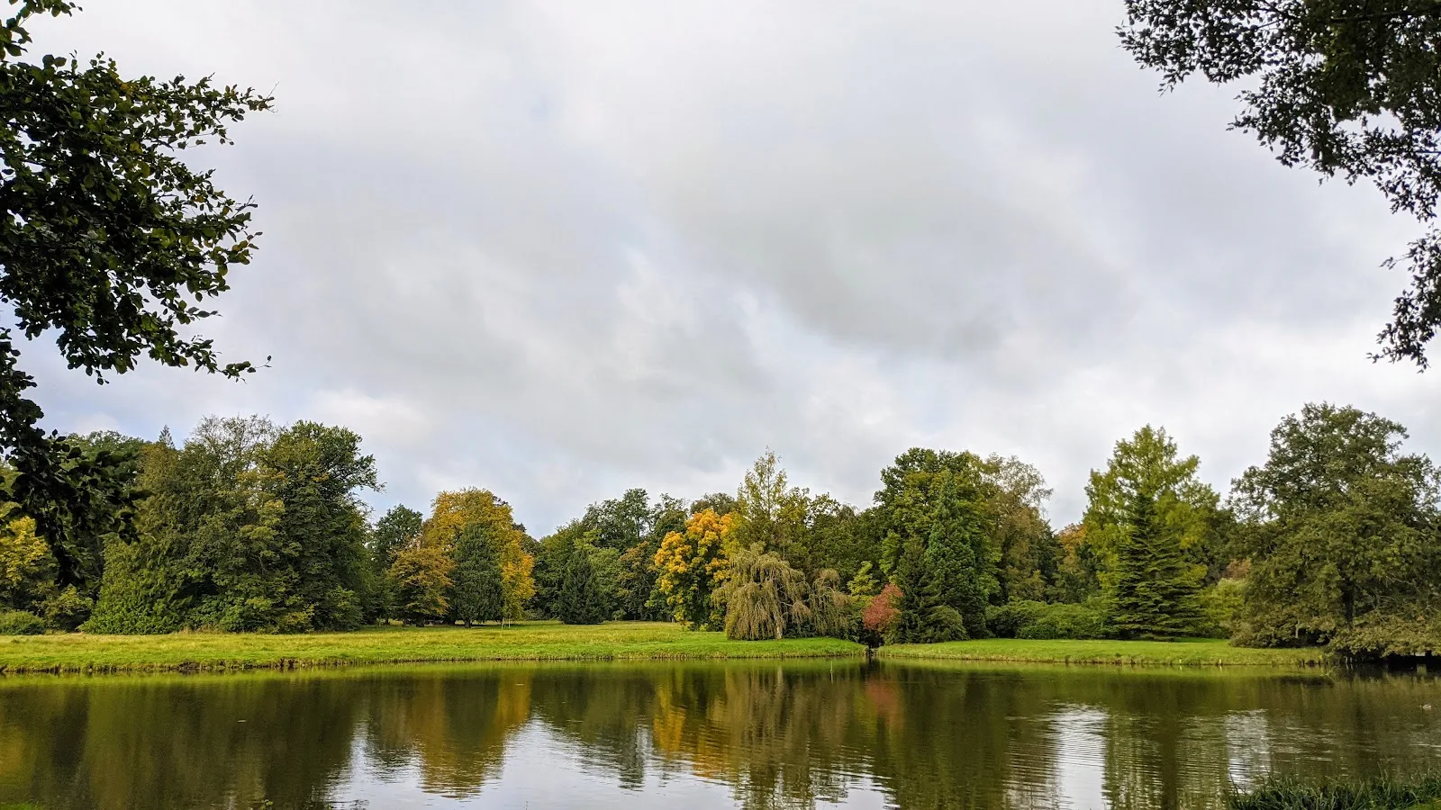 Teich im Schlosspark Wiesenburg mit Bäumen am Ufer