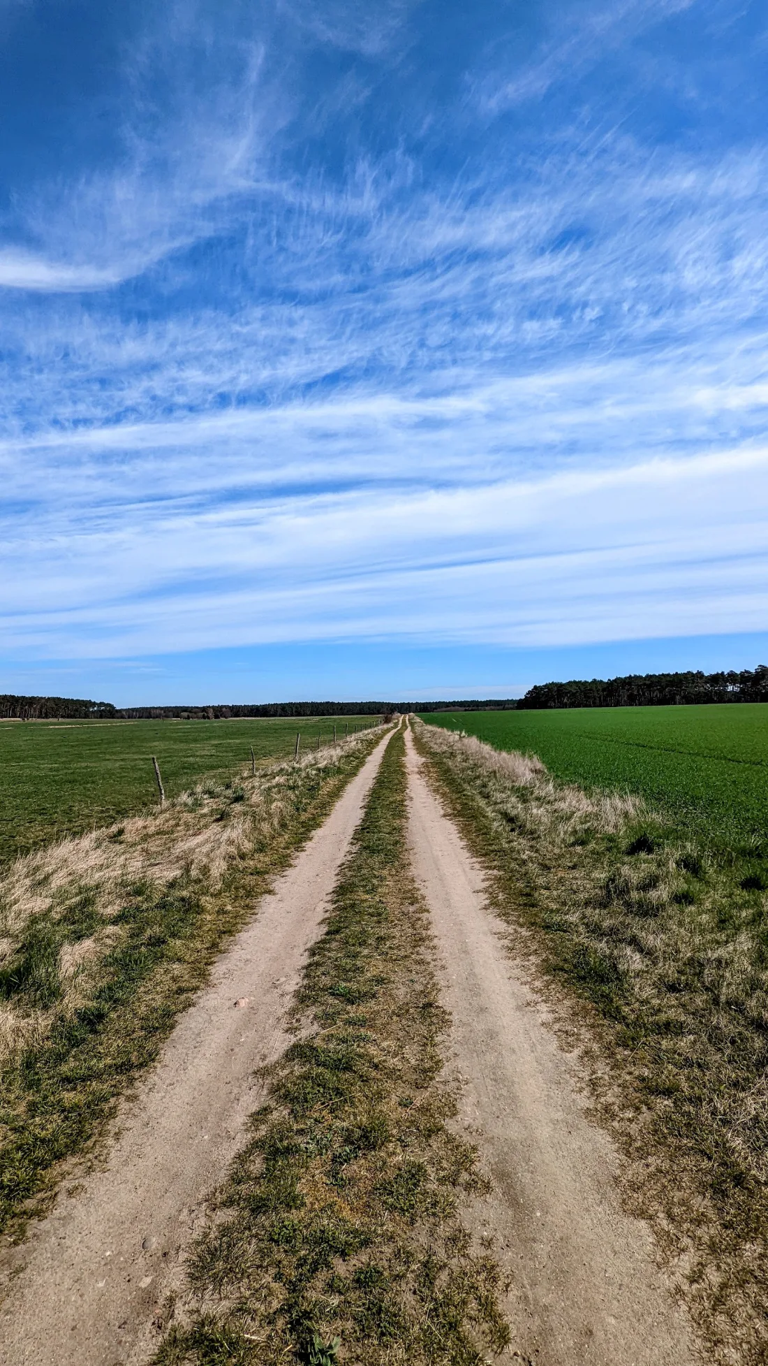 Sandiger Feldweg zwischen Äckern unter Wolkenhimmel